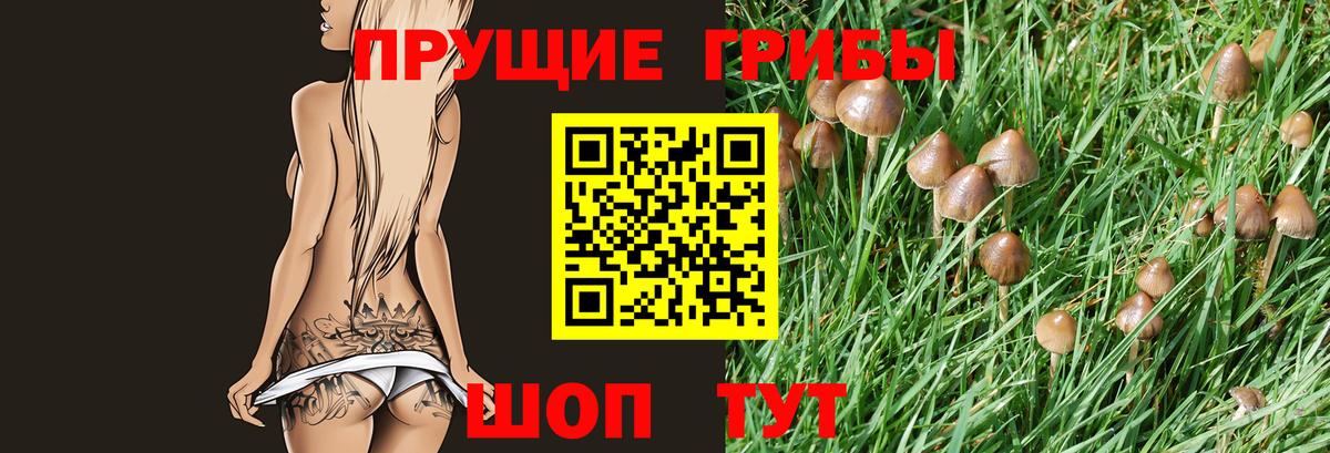 Реутов  Псилоцибиновые грибы мухоморы  Вход с VPN  Галлюциногенные грибы прущие грибы 